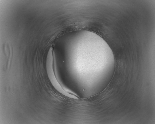 X0000056311250200509231911