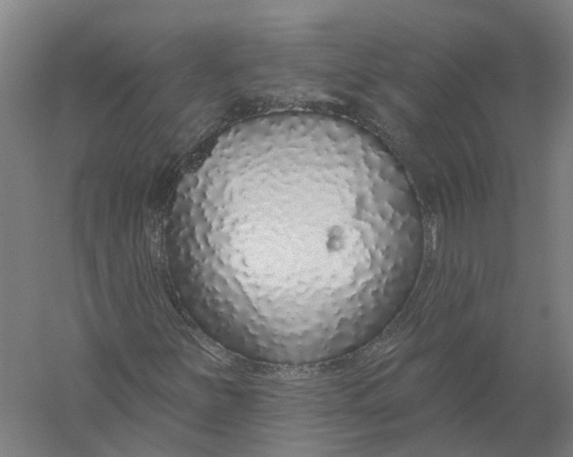 X0000056311251200509231911