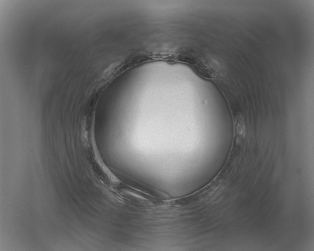 X0000056311252200509231911