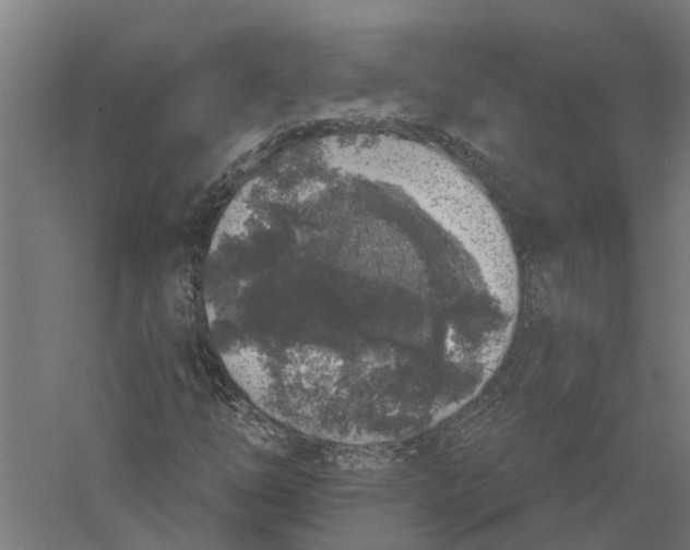 X0000056311254200509231911