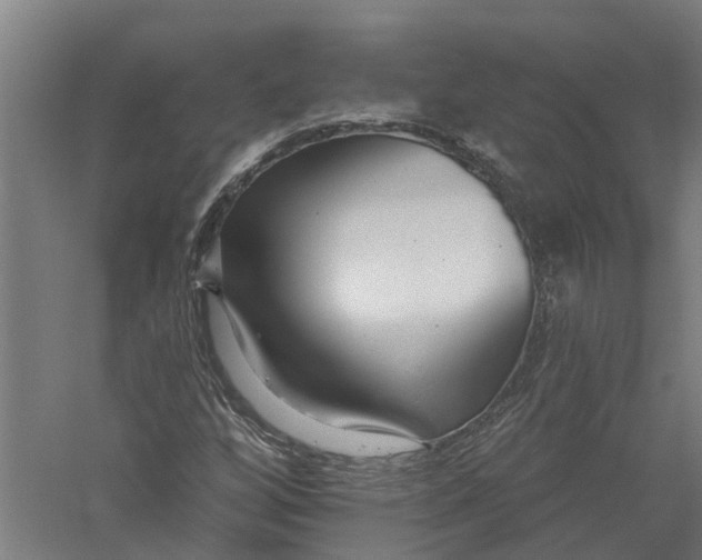 X0000056311256200509231911