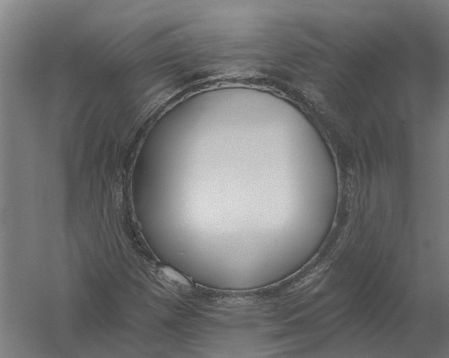 X0000056311257200509231911