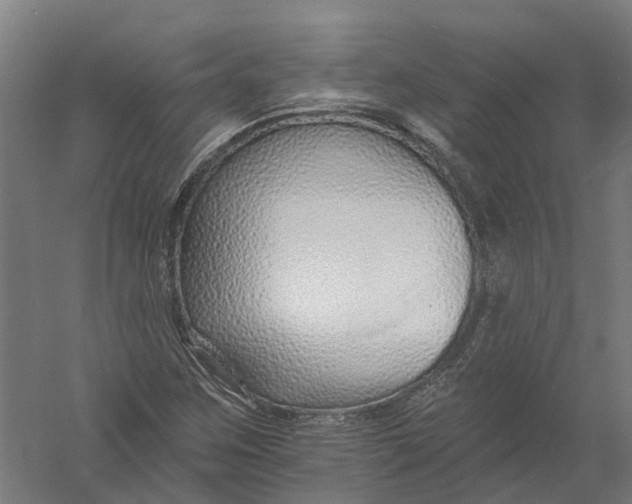 X0000056311259200509231911