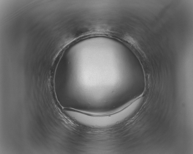 X0000056311260200509231911