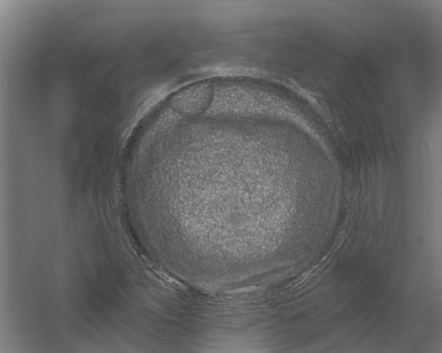X0000056311263200509231911