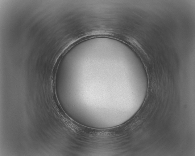 X0000056311268200509231911