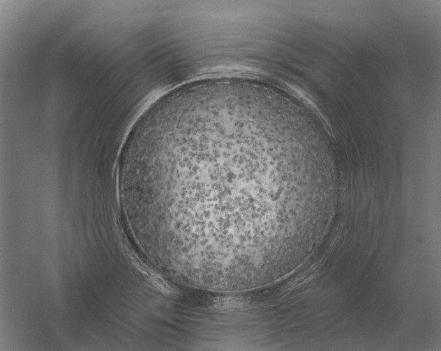 X0000056311275200509231911