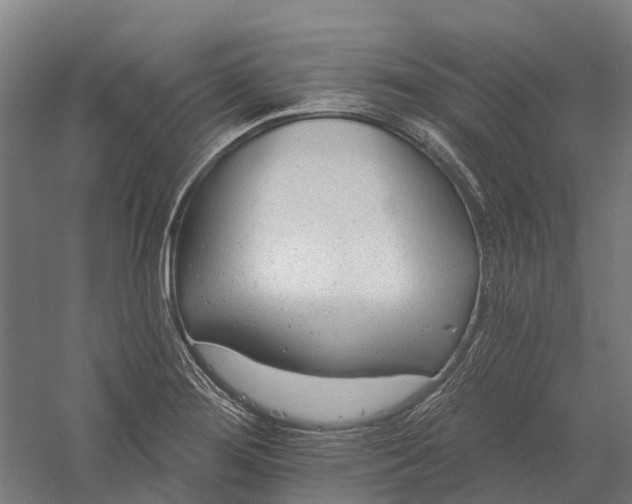 X0000056311276200509231911