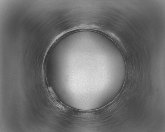 X0000056311280200509231911
