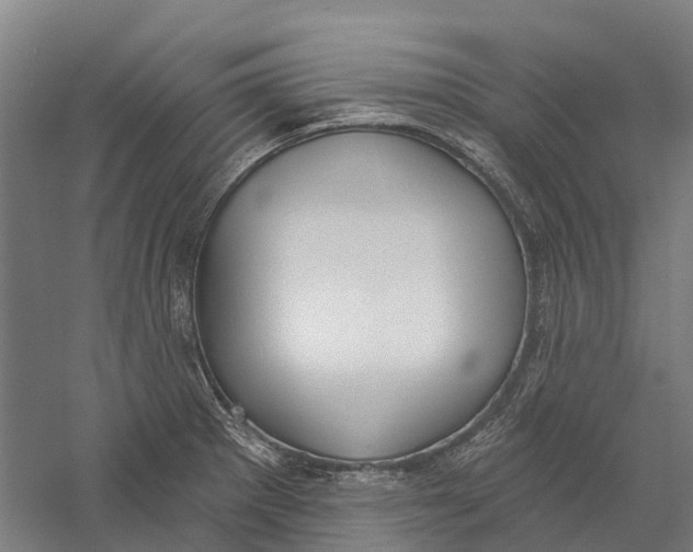 X0000056311281200509231911