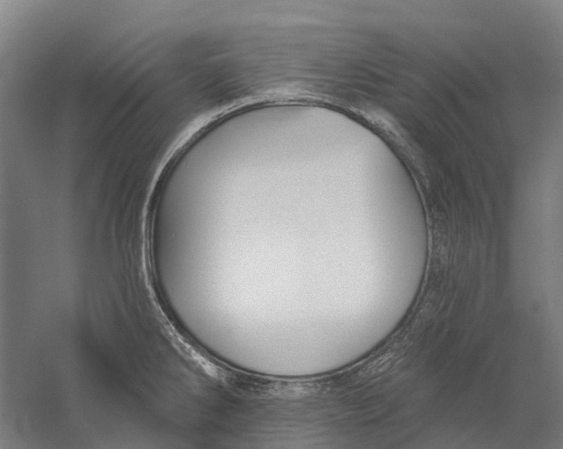 X0000056311286200509231911