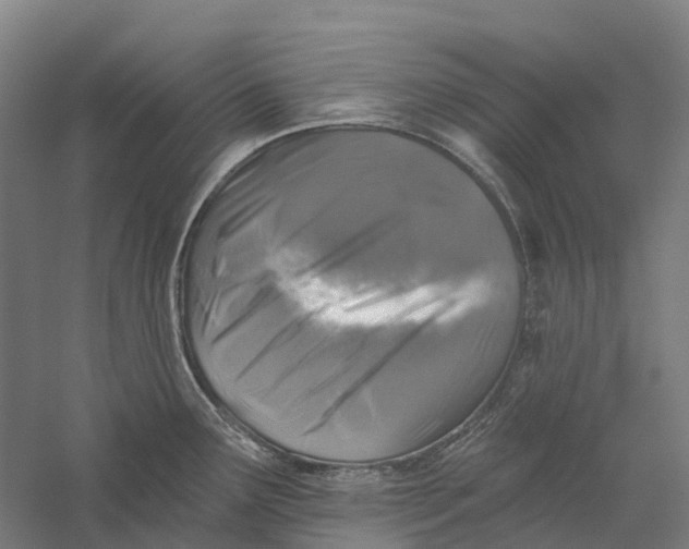 X0000056311291200509231910