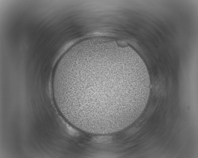 X0000056311294200509231910