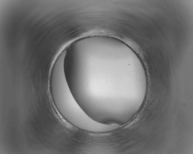 X0000056311296200509231910