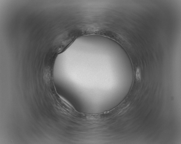 X0000056311299200509231910