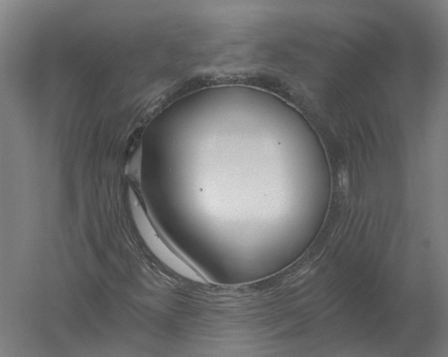 X0000056311300200509231910