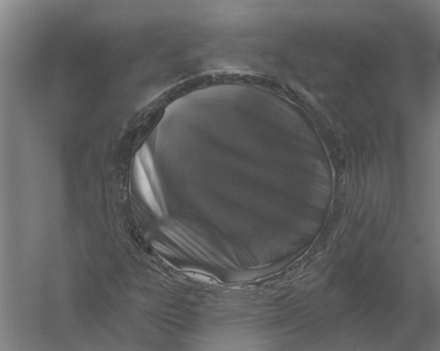 X0000056311303200509231910