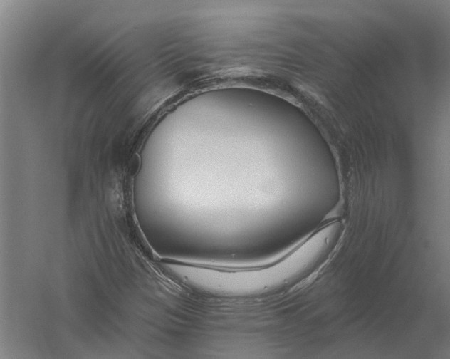 X0000056311305200509231910