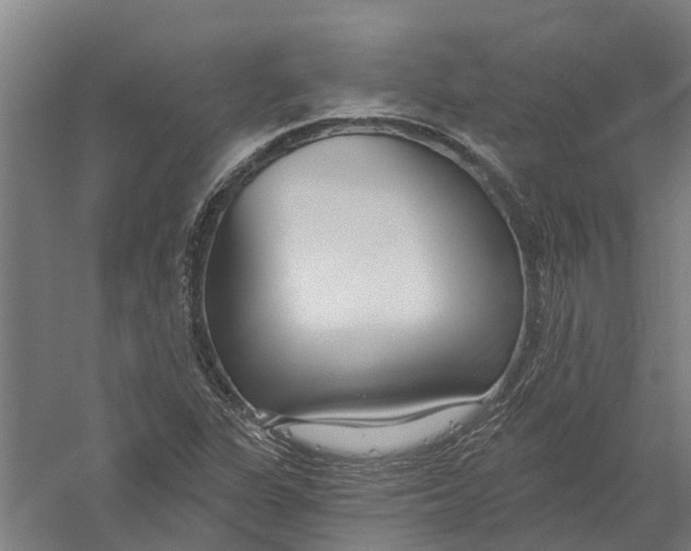 X0000056311311200509231910