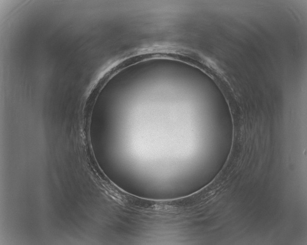 X0000056311312200509231910