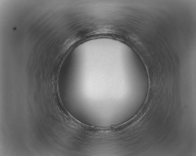 X0000056311313200509231910