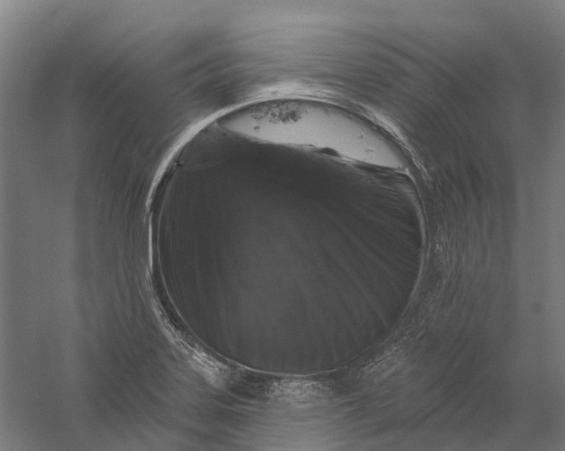 X0000056311323200509231910