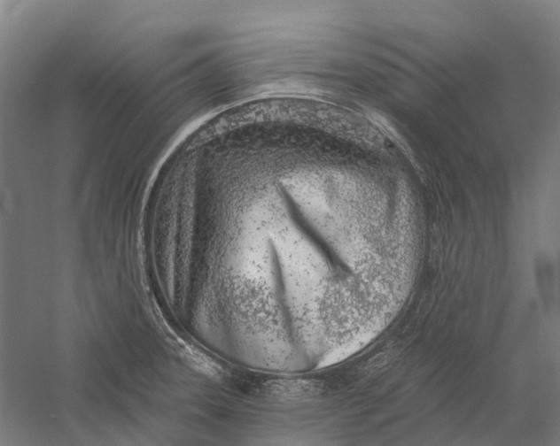 X0000056311331200509231910
