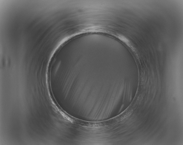 X0000056311334200509231910