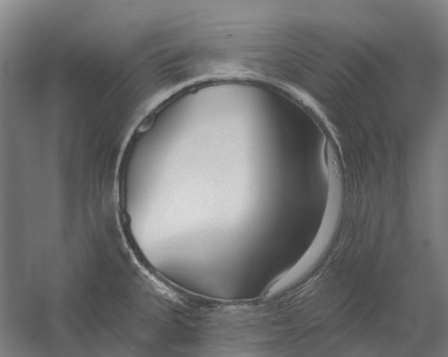 X0000056311335200509231910