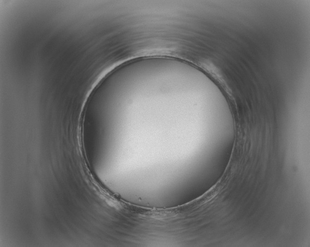 X0000056311340200509231910