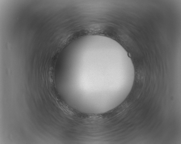 X0000056311346200509231910