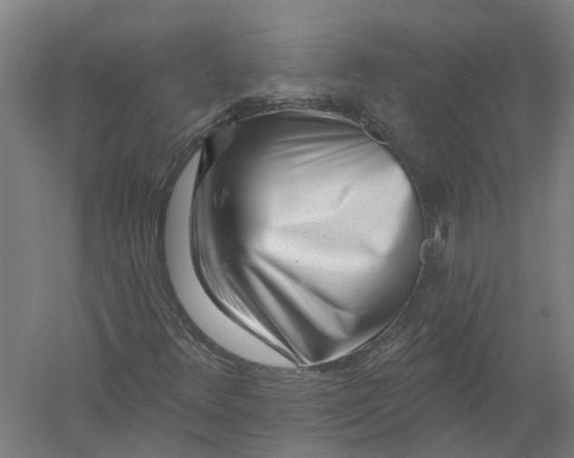 X0000056311348200509231909