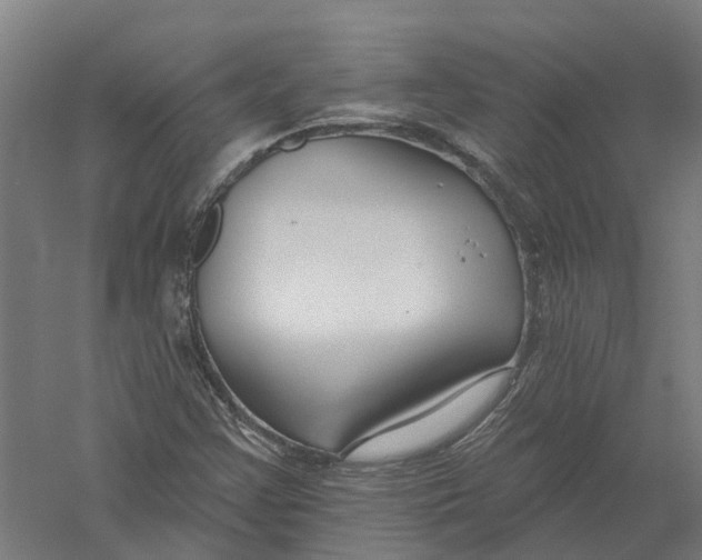 X0000056311355200509231909