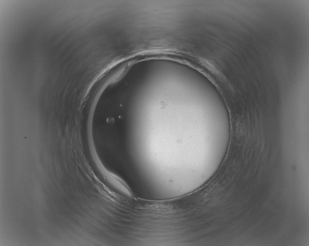 X0000056311356200509231909