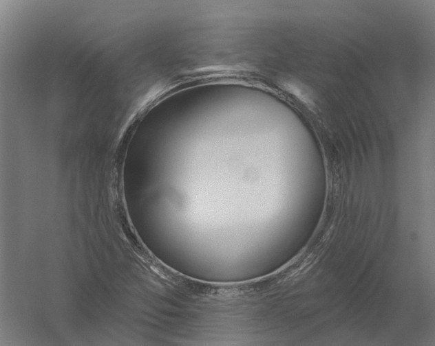 X0000056311357200509231909