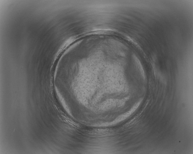 X0000056311362200509231909
