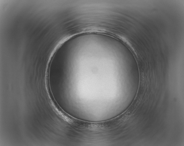 X0000056311379200509231909