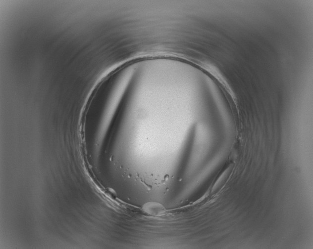 X0000056311388200509231909