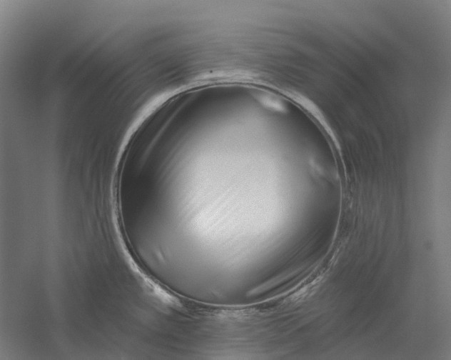 X0000056311389200509231909