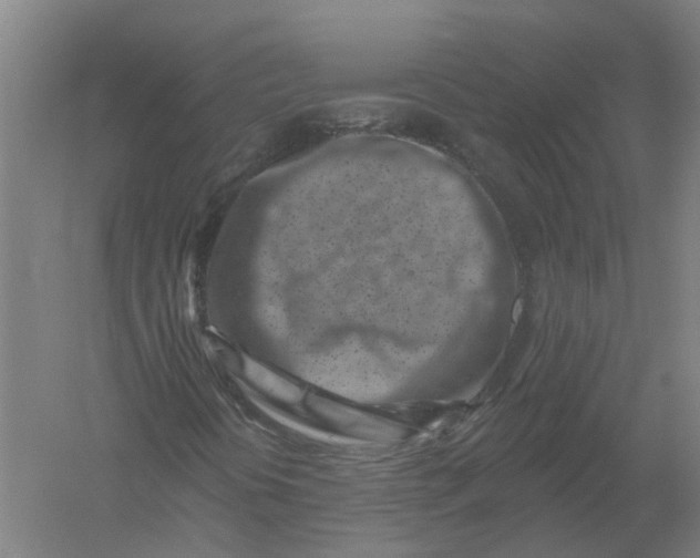 X0000056311394200509231908