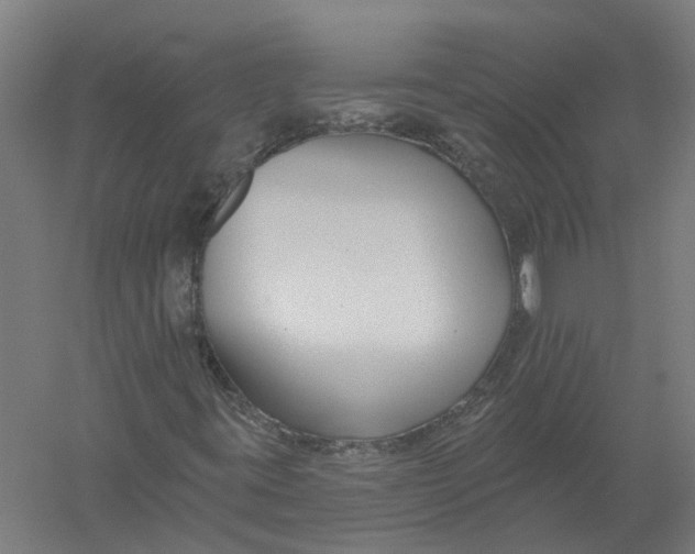 X0000056311395200509231908
