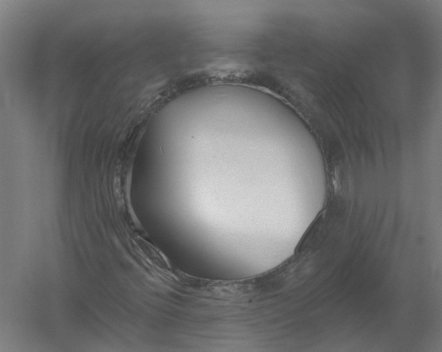 X0000056311396200509231908