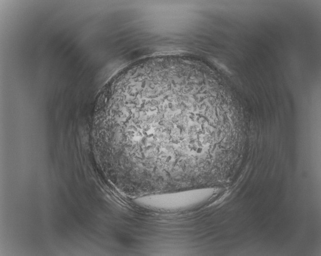 X0000056311401200509231908