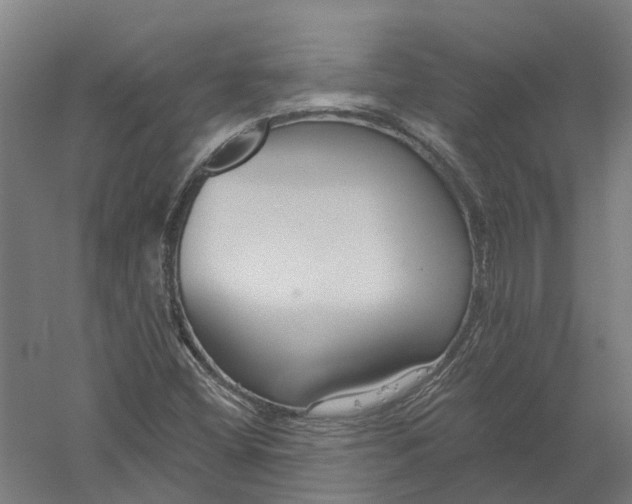 X0000056311404200509231908