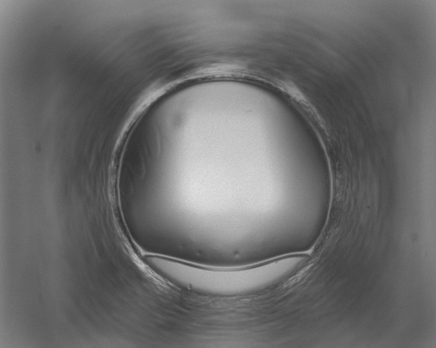 X0000056311421200509231908