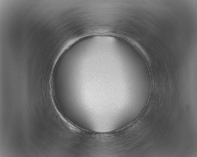 X0000056311432200509231909