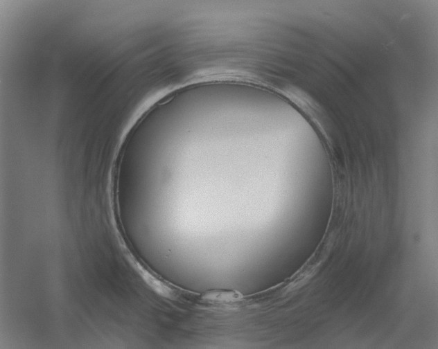 X0000056311438200509231909