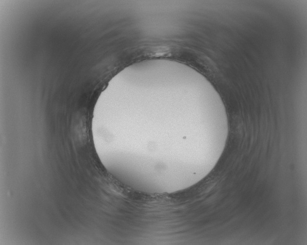 X0000056311442200509231908