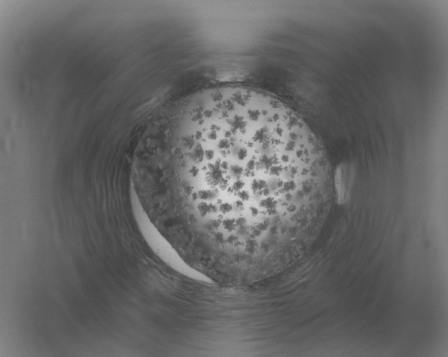 X0000056311443200509231908