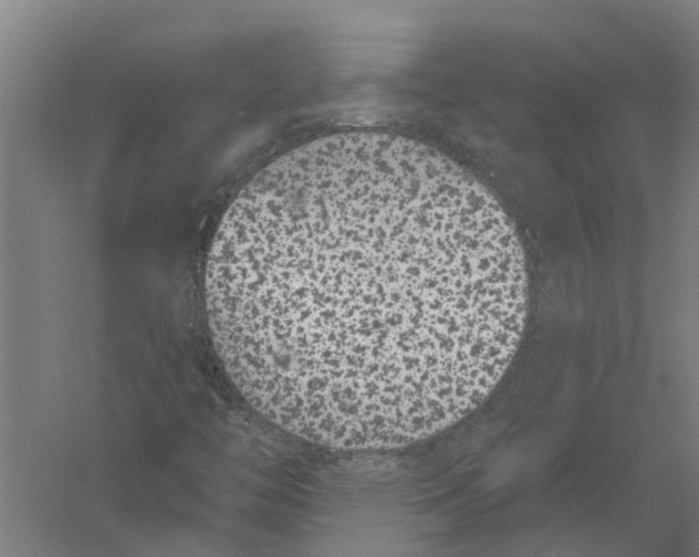 X0000056311446200509231908